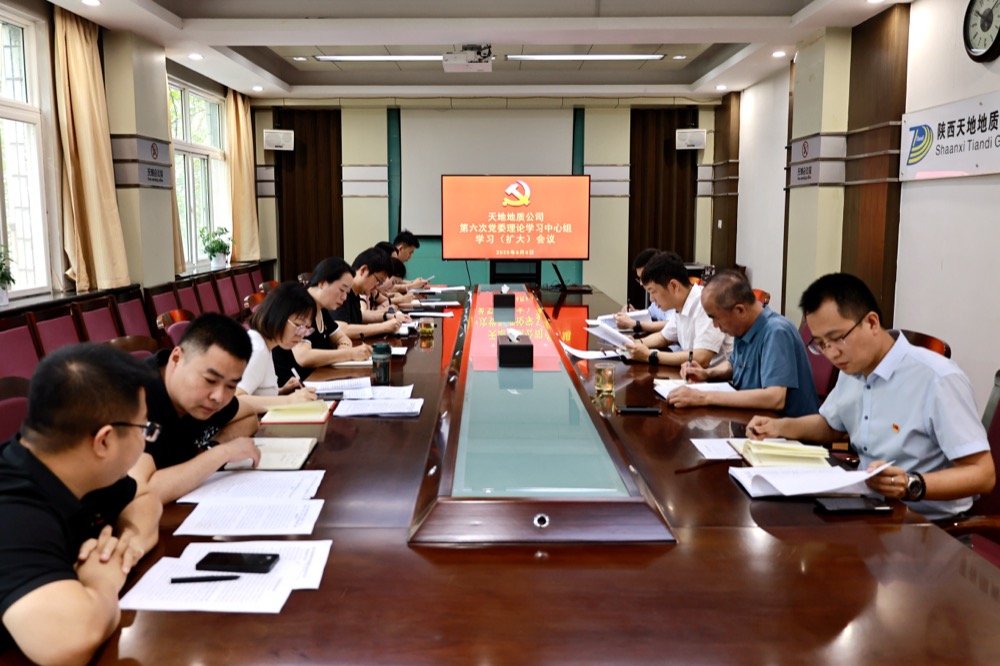 6月6日，公司召开第六次党委理论学习中心组学习（扩大）会议。（张嘉淇）.JPG