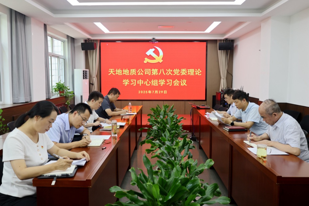 7月29日，公司召开第八次党委理论学习中心组学习会议。（张嘉淇）.JPG