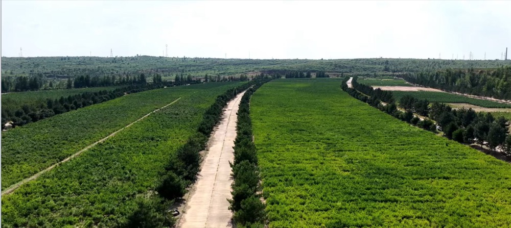 国有林场采空塌陷治理工程 (2).jpg