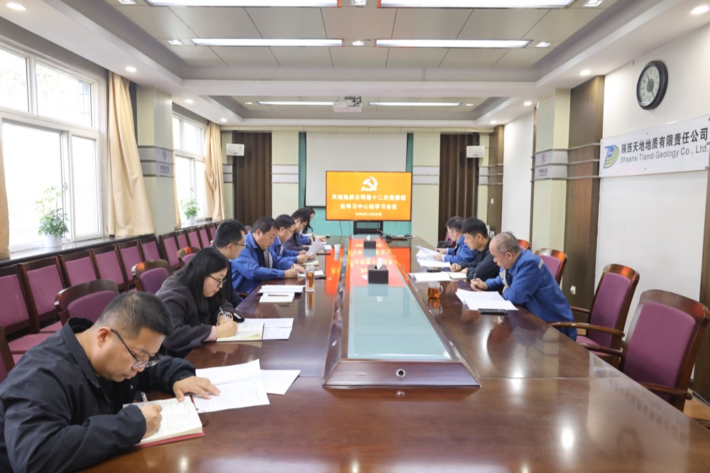 11月25日，公司召开第十二次党委理论学习中心组学习会议。（张嘉淇）.JPG